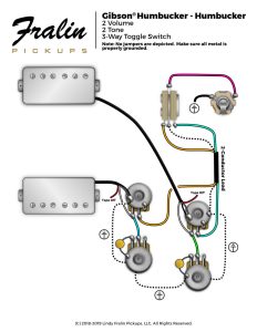 Fralin Gibson Les Paul with 3-Conductor Lead