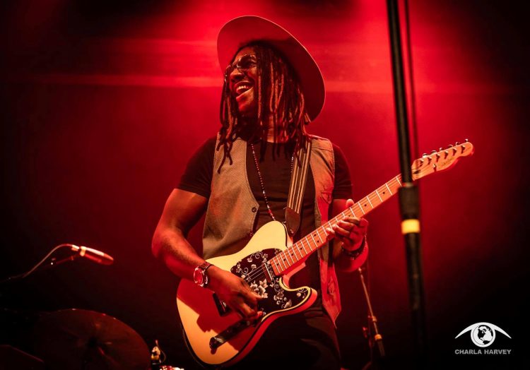 D.J. Williams Fralin Pickups
